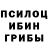 Псилоцибиновые грибы Psilocybe Alex CBR