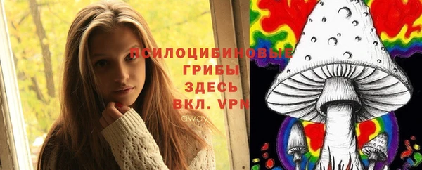 мдпв Алзамай